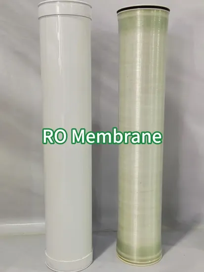 4040 Used for Permeate Disc RO Pad Membrane Water Purification at High Pressure of 160 Bar 