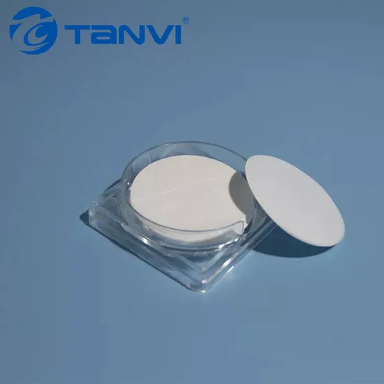 0.45 Um 0.65 Um 13/25/47/90/142/293 mm Membrane Filter for Lab Use 