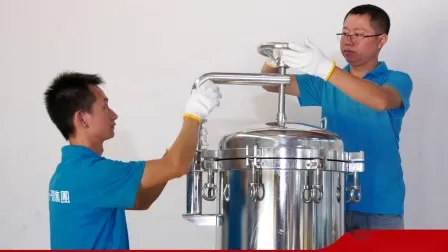 Single & Multi 3 Micron Bag Housing Filter 304 316L Material Stainless Steel Filter Housing Manufacturer in Guangdong China 