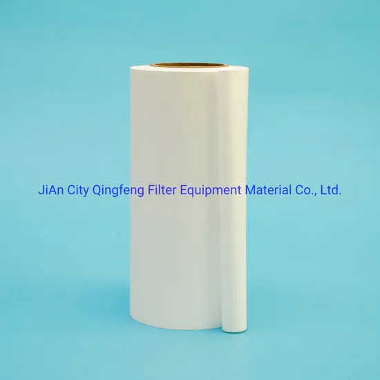 Microporous Filtration Membrane PVDF Mce/Cn/Ca/Pes/Nylon/PTFE Disc Filtration Membrane 