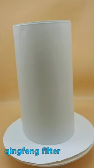 PP Pes PTFE Mce Filter Membrane for Lab Filtration Membrane Disc 