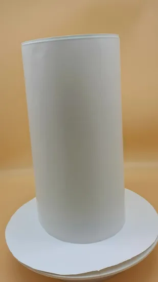 25mm 0.22um Pes Microporous Membrane Filter Membrane in Disc Pes Laboratory Filters 